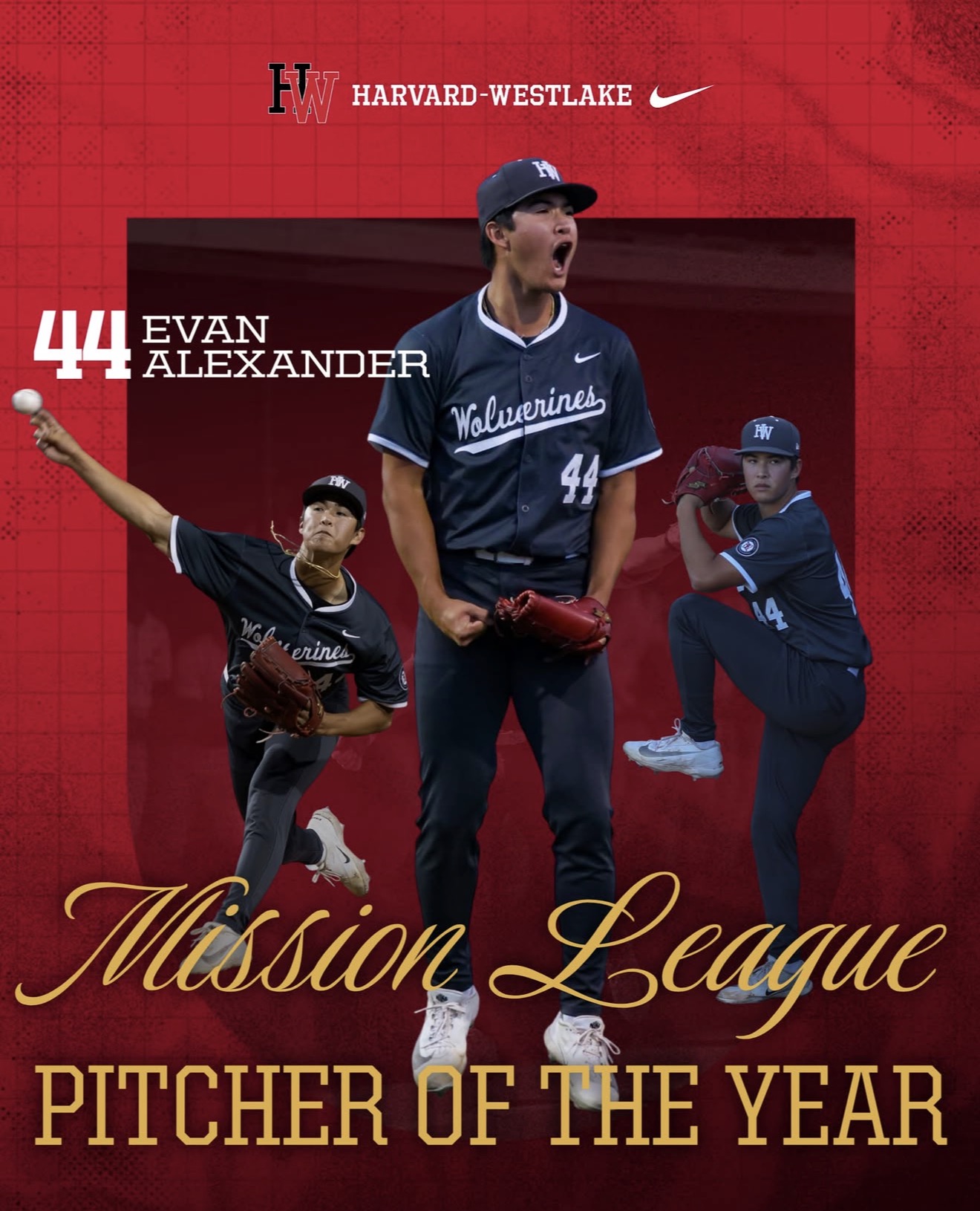 Mission League Pitcher of the Year recognition