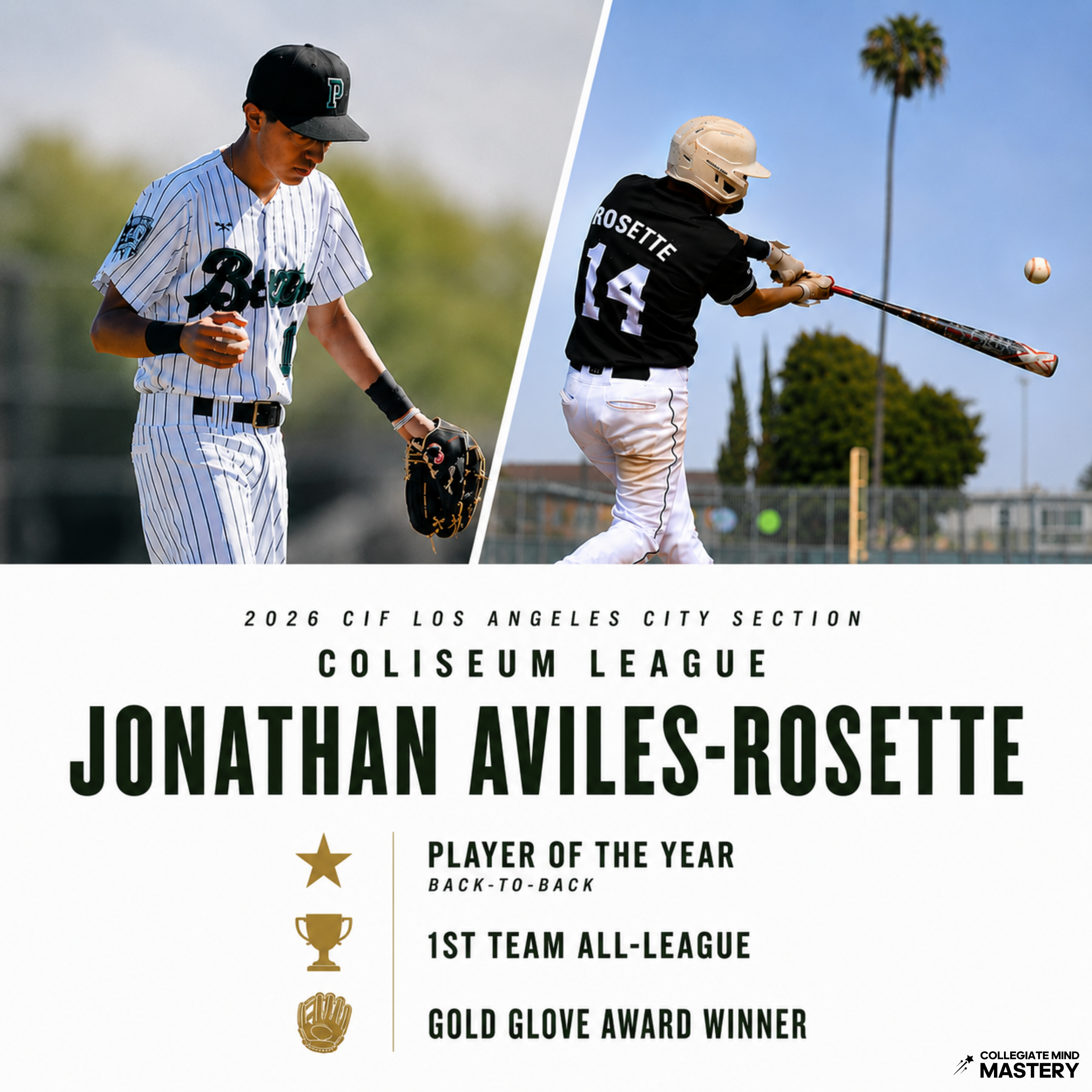 CIF LA City Section Player of the Year recognition